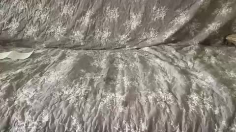 diamond20cm online show from 10.24.25