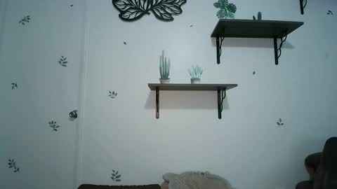 Snapshot of dickslayerdan chatting on 01.25.25 dickslayerdan online show from 01.25.25