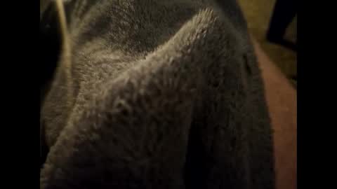 Snapshot of dilf232323 chatting on 01.16.25 Dilf online show from 01.16.25