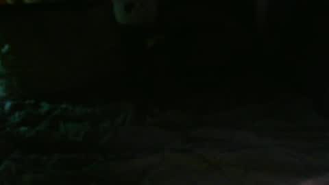 Snapshot of dixhexus chatting on 02.14.25 Chris Williams online show from 02.14.25