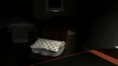 Snapshot of dubl55nikl chatting on 12.03.24 DublNikl online show from 12.03.24