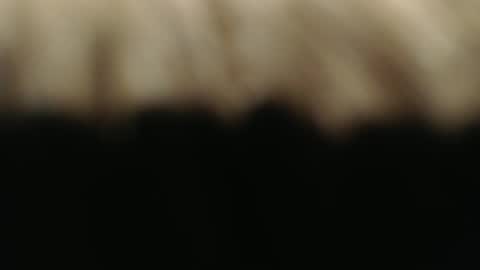 Snapshot of ductorfeelgood chatting on 03.01.25 swiss kiss online show from 03.01.25