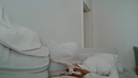 Snapshot of dustyroy09 chatting on 02.14.25 dustyroy09 online show from 02.14.25