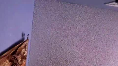 Snapshot of el_santo18 chatting on 02.07.25 Santos online show from 02.07.25