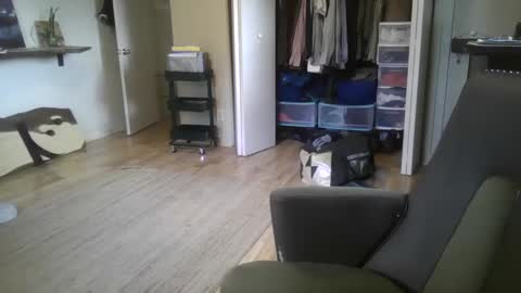 Snapshot of elephantfox chatting on 12.26.24 fox online show from 12.26.24