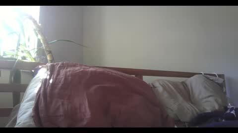 Snapshot of elephantfox chatting on 02.11.25 fox online show from 02.11.25