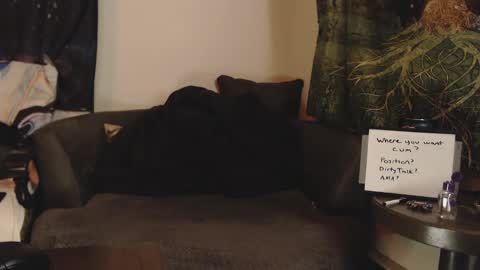 Snapshot of emp4thy815 chatting on 01.24.25 Brad Ryan online show from 01.24.25