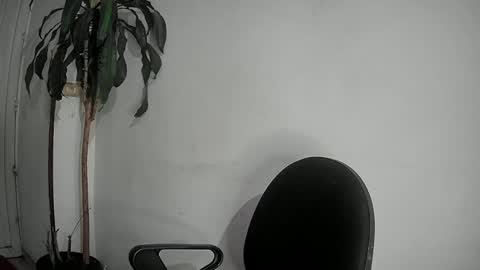 Snapshot of evacollins12 chatting on 12.02.24 evacollins12 online show from 12.02.24
