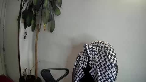 Snapshot of evacollins12 chatting on 01.07.25 evacollins12 online show from 01.07.25