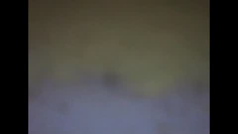 Snapshot of fafafa923 chatting on 01.12.25 fafafa923 online show from 01.12.25