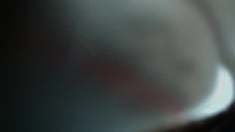 Snapshot of fallgays chatting on 11.09.25 FallGays online show from 11.09.25