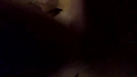 Snapshot of faranume66 chatting on 10.30.25 faranume66 online show from 10.30.25