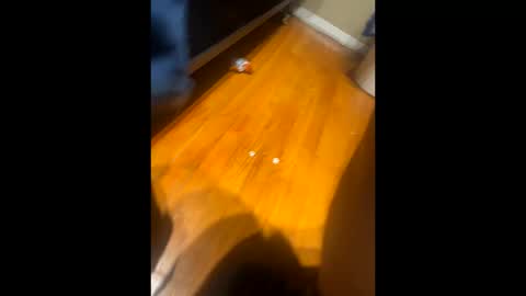 Snapshot of fatz71056 chatting on 10.16.25 fatz71056 online show from 10.16.25