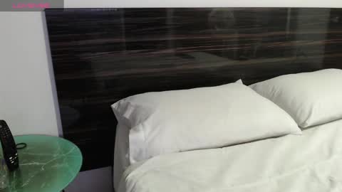 Snapshot of faustosaenz chatting on 02.17.25 FAUSTO online show from 02.17.25