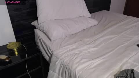 Snapshot of faustosaenz chatting on 02.24.25 FAUSTO online show from 02.24.25