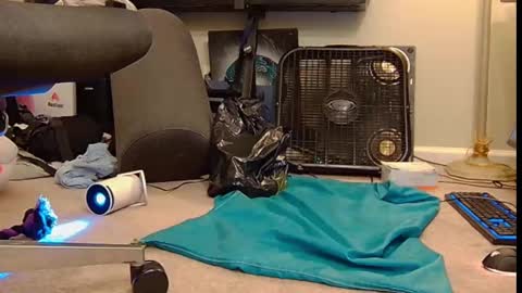 Snapshot of feralasf chatting on 10.06.25 FE fee online show from 10.06.25