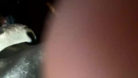 Snapshot of fieldmousebby chatting on 11.12.25 fieldmousebby online show from 11.12.25