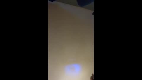 Snapshot of followthewhiterabbittail chatting on 09.22.25 Have fun remembering u online show from 09.22.25