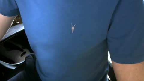 Snapshot of gay_slave_on_cam chatting on 10.05.25 gay slave on cam online show from 10.05.25