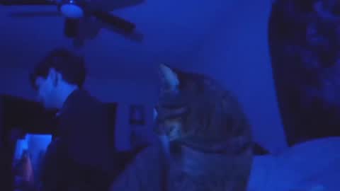 Snapshot of ghostcondor11 chatting on 11.13.25 SrirachaSwitchblade online show from 11.13.25