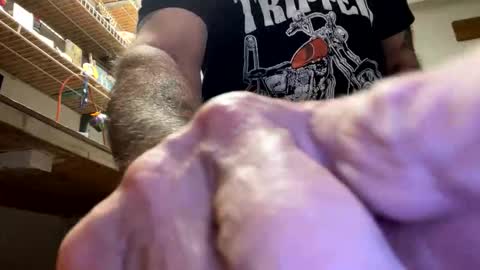 Snapshot of gngnxxx chatting on 10.23.25 gngnxxx online show from 10.23.25