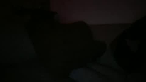 Snapshot of greenlova chatting on 03.07.25 Sonny online show from 03.07.25