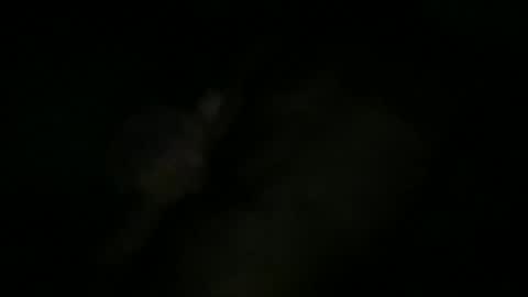 Snapshot of greenlova chatting on 10.11.25 Sonny online show from 10.11.25