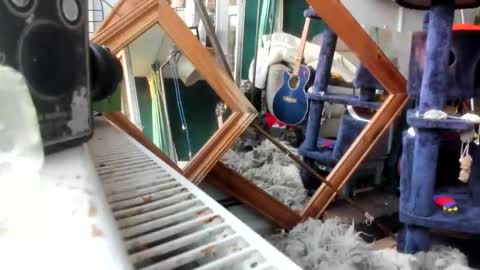 Snapshot of handncocknocum chatting on 02.28.25 handncocknocum online show from 02.28.25