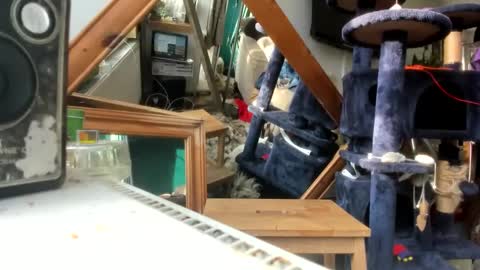 Snapshot of handncocknocum chatting on 03.09.25 handncocknocum online show from 03.09.25