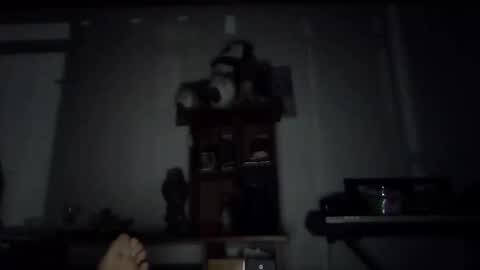 Snapshot of hanny_kail chatting on 12.31.24 hanny online show from 12.31.24