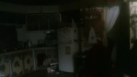 Snapshot of hardinhand44 chatting on 01.31.25 john nobles online show from 01.31.25