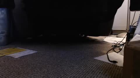 Snapshot of henryjxxx chatting on 01.12.25 henryjxxx online show from 01.12.25