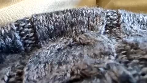 Snapshot of hornyallthetime6969696969 chatting on 03.02.25 Tiny cock online show from 03.02.25