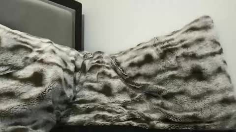 Snapshot of hornycumsh0t chatting on 11.03.25 cumsh0tking online show from 11.03.25