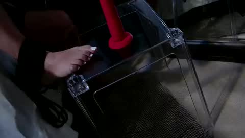 Snapshot of insatiablecpl333 chatting on 01.20.25 InsatiableCpl333 online show from 01.20.25