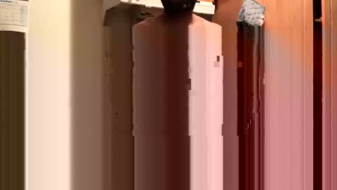 Snapshot of inyourmouthagain83 chatting on 10.08.25 inyourmouthagain online show from 10.08.25