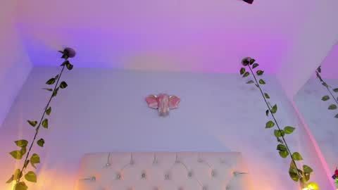 Snapshot of isabella_flowerss chatting on 01.08.25 online show from 01.08.25