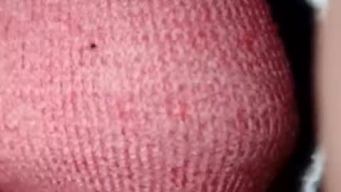 Snapshot of jasspreettt chatting on 12.28.24 jasspreettt online show from 12.28.24