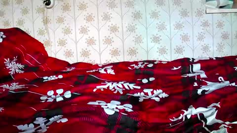 Snapshot of jellykulli chatting on 12.31.24 jellykulli online show from 12.31.24