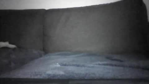 Snapshot of josei_h chatting on 12.12.24 Hentai Jo online show from 12.12.24