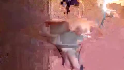 Snapshot of juan575390 chatting on 12.17.24 juan575390 online show from 12.17.24