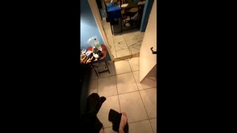 Snapshot of justboredandlonely239041 chatting on 12.28.24 BIGDICKJOHNNY online show from 12.28.24