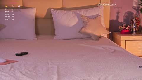 Snapshot of kamelllya chatting on 02.02.25 Kamelllya online show from 02.02.25