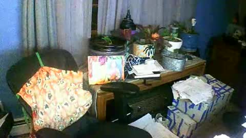 Snapshot of kingandqueenjanky chatting on 10.26.25 Janky online show from 10.26.25