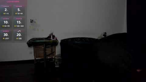 Snapshot of kitsunemoon chatting on 12.08.24 Kitsune online show from 12.08.24