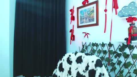 Snapshot of kitty_vaal chatting on 01.03.25 kitty_vaal online show from 01.03.25