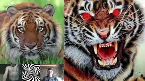 Snapshot of kodiakpm1 chatting on 02.01.25 kodiakpm1 online show from 02.01.25