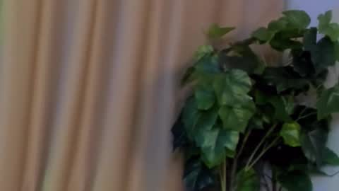 Kristi online show from 12.07.24