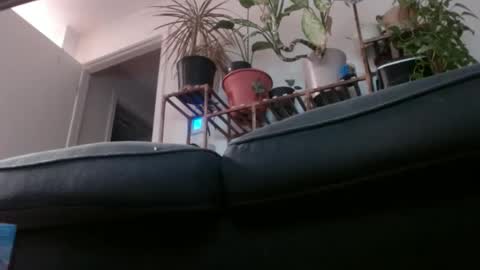 Snapshot of laidback_and_chill chatting on 02.01.25 Rick online show from 02.01.25