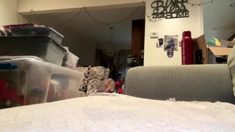 lawrencegreg106 online show from 09.25.25